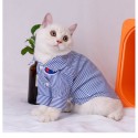 Champion 犬服 薄手 犬のtシャツ チャンピオン 猫服 ブランド ペットウェア シンプル ハンサム小型犬 ブリティッシュショートヘア 　 冬　おでかけ　暖かい犬用ラペルポロシャツ コピー猫服 ドッグウェア 両足