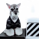 CHANEL ハイブランド シャネル ペット用品 犬服 セーター 猫の服 ドッグニット服 かわいい 犬のカーディガン 暖かい 秋冬向け カメリア柄 キレイ ペット服 スタイリッシュ 伸縮性高い 通気性強い S - 2XL