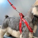 シュプリーム SUPREME ドッグ 犬の用品 首輪と牽引リード ペット小中大型ペット用くびわ  犬用レザーリード 耐久性 定番モノグラム 高級感溢れ 猫 首輪 おしゃれなモダン リード セット かわいい首飾り ネコ用くびわ  ペットへのギフト