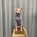 ハイブランド dior ペット用品 無毛猫 スフィンクス服 ディオール 人気モノグラムの無毛猫の服 暖かい tシャツ ペット服 スフィンクス服 猫の服 高品質 綿シャツ 伸縮性強い XS~3XL 春夏ウェア