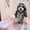 シャネル CHANEL 犬服 ワンちゃん用 ペット服 犬猫セーター ドッグウェア ジッパー付き 個性 ジャケット テディ チワワ シュナウザー ダックス トイプードル マルチーズ フレンチブルドッグ ポメラニアン ビションフリーゼ 春夏秋冬 傷なめ防止 抜け毛対策 中小型犬 S-2XL