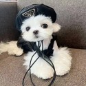 Prada ブランド ペット服 犬用スカート 小型犬 ワンピース プラダ ペット洋服 かわいい 中小型犬の黒色ドレス ベレー帽付き 2点セット 誕生日会 三角金属ロゴ付き 高級感 おしゃお 祝い 犬服 プレゼント 激安 XS~2XL