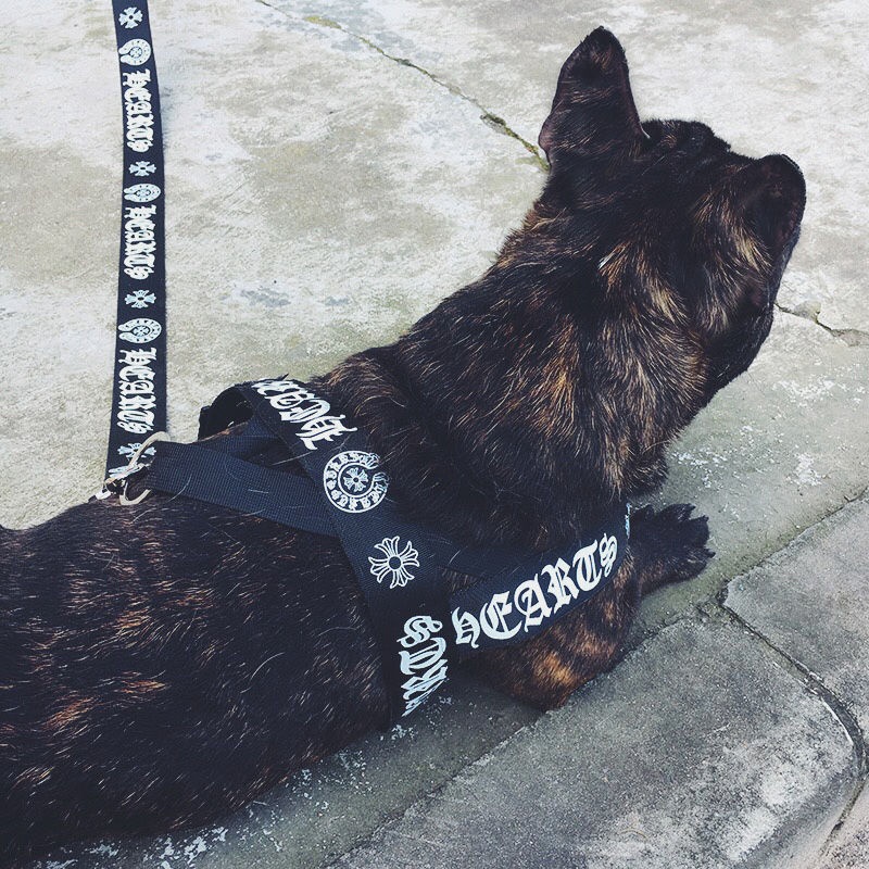 ブランドChrome Hearts 犬用首輪ハーネスリードセット 耐久性 ネコリードセット